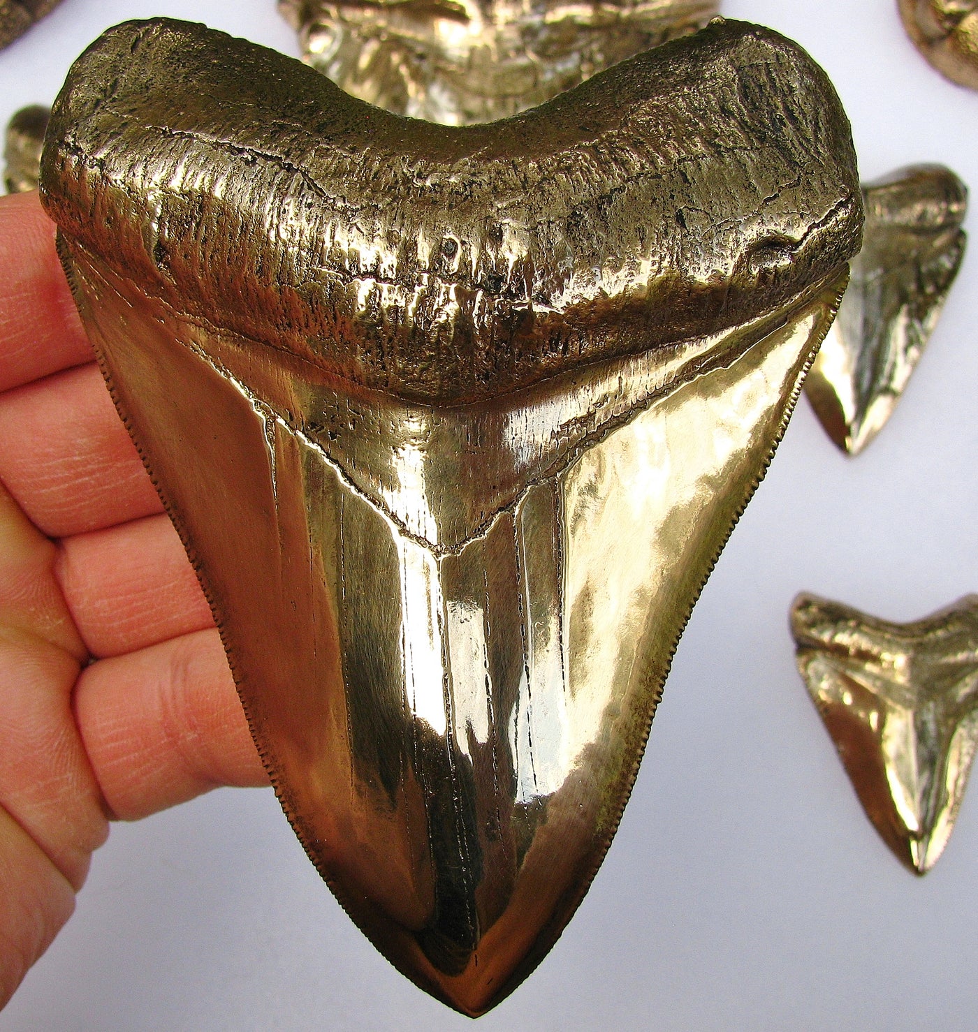 Shark Tooth Art