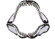 Primitive Past Fossil Shark Teeth